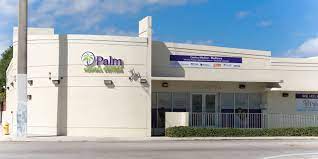 Palm Medical Centers gambar png