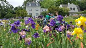 Presby Memorial Iris Garden.jpg | New York-New Jersey Trail Conference