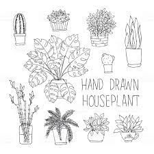 Big Set Of Hand Drawn Houseplants