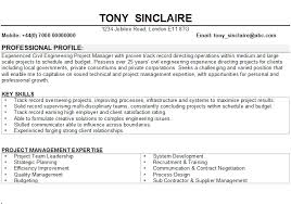 Most Interesting Resume Personal Statement Examples    Cv Personal     Callback News