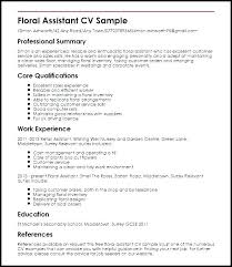 Best It Resume Examples One Page Resume Examples One Page Resume