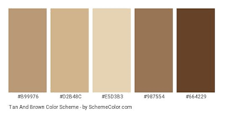 Brown Color Palette