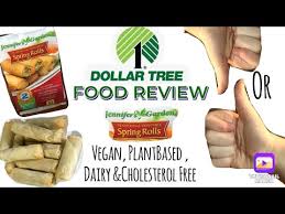 dollar tree food review jennifer garden