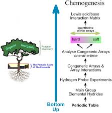 Pearson Hard Soft Acid Base Chemogenesis