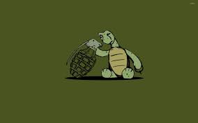 funny turtle wallpapers wallpaper cave