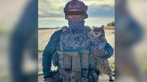 Ukraine Special Forces Forced to Obscure Face of 'Extremely Classified' Cat