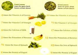 the moringa nutritional fact 4th of a