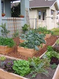 vegetable garden design growing food
