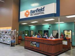Banfield pet hospital is a privately owned company based in vancouver, washington, united states, that operates veterinary clinics. Petsmart Banfield Hospital Online Shopping