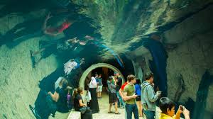 dallas world aquarium tours book now