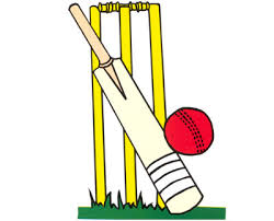 Free Cartoon Cricket Bat, Download Free Cartoon Cricket Bat png ...