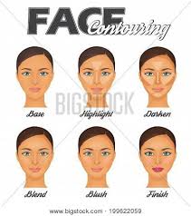 How Make Perfect Face Vector Photo Free Trial Bigstock