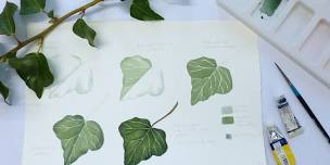 Botanical Art with Alison Walker