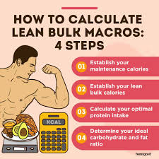 lean bulk macros how to calculate the