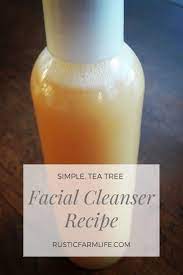 simple tea tree cleanser recipe