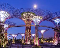 gardens by the bay and ocbc skyway