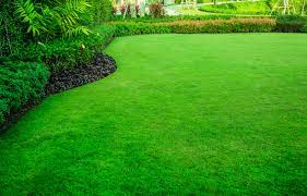 How To Make Grass Green And Lush - Simplemost