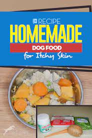 homemade dog food for itchy skin