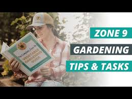February Gardening Tips Tasks For