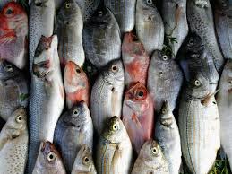 Study points to link between skin cancer and eating too much fish | The  Independent