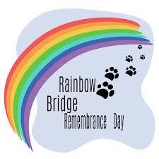 rainbow bridge images browse 27 693