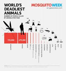 15 Deadliest Animals In The World Care2 Healthy Living