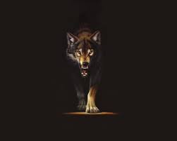 43+] Cool Black Wolf Wallpaper on ...