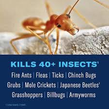 lawn insect and fire ant