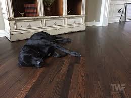 inside dogs and hardwood floors