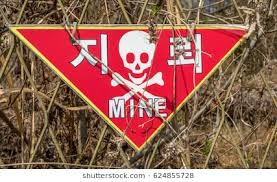 Image result for  landmines