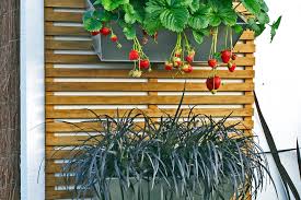 vertical garden without drilling