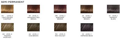 Walnut Hair Color Jwarnerlifestyle