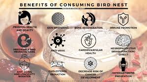 bird nest drink benefits