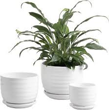 Modern Ceramic Garden Flower Pots