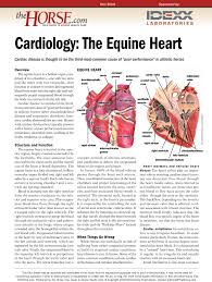 cardiology the equine heart the horse