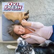 carpet cleaning pet in louisville ky