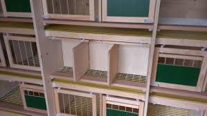 hermes pigeon loft equipment
