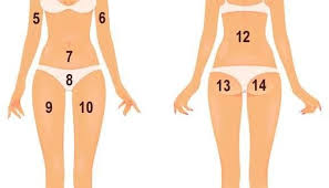 Acne Body Mapping Zones What Your Body Acne Telling You