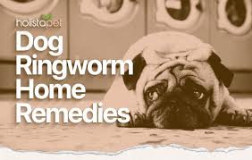 essential oils for ringworm in dogs