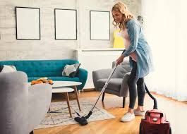 the 7 best portable carpet cleaners of