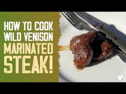 venison steak marinade recipe