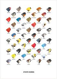 Pop Chart Lab Americas 50 State Birds Ordered By Their