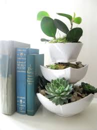 Shop our selection of planters & flower pots at dollargeneral.com. Dollar Store Crafts For Plants Apartment Therapy