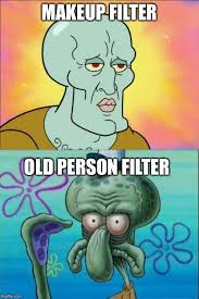 filters memes gifs flip
