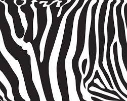 Zebra Wallpaper Design Border