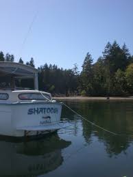 The Adventures Of Shatoosh And Pashmina Eld Inlet