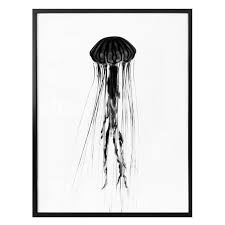 Black Jellyfish Glass Art Wall Art Com