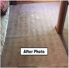 carpet cleaning best service in the