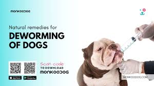 natural remes for deworming of dogs