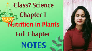 cl7 science chapter 1 nutrition in